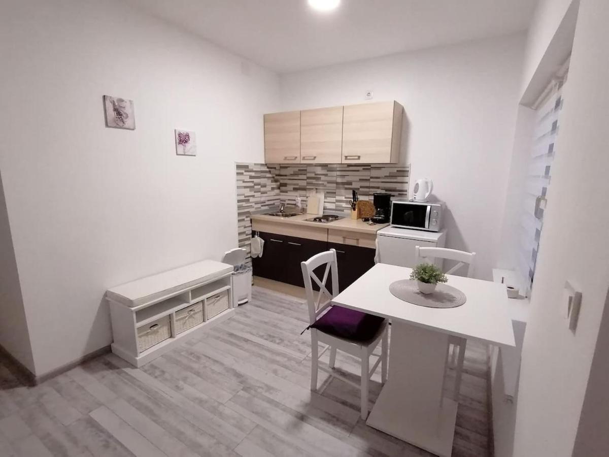 Apartman Lidija Dinjiška Eksteriør bilde