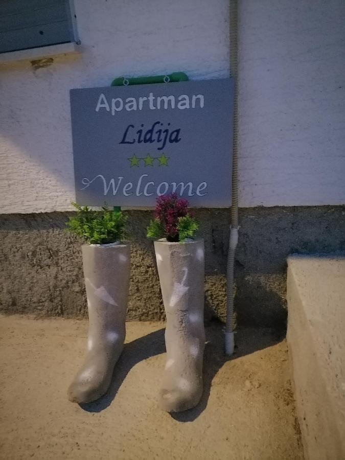 Apartman Lidija Dinjiška Eksteriør bilde